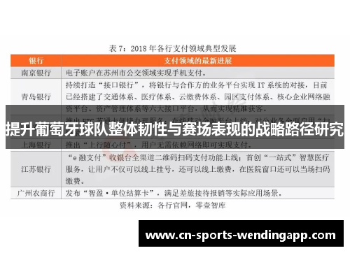 提升葡萄牙球队整体韧性与赛场表现的战略路径研究