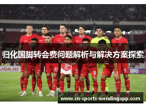 归化国脚转会费问题解析与解决方案探索 归化国脚转会费问题解析与解决方案探索