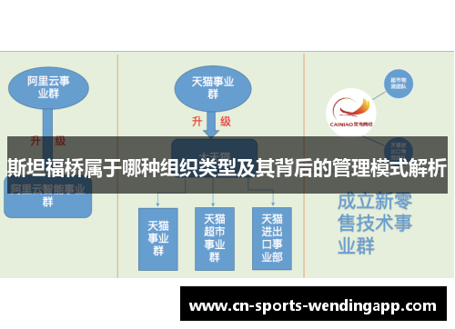 斯坦福桥属于哪种组织类型及其背后的管理模式解析 斯坦福桥属于哪种组织类型及其背后的管理模式解析