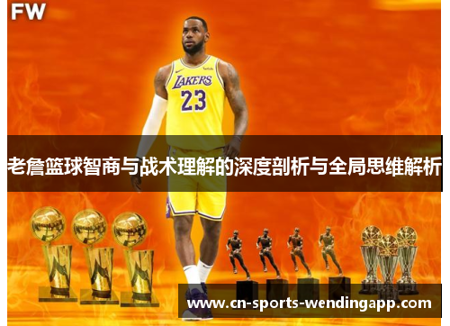 老詹篮球智商与战术理解的深度剖析与全局思维解析