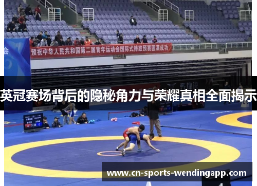 英冠赛场背后的隐秘角力与荣耀真相全面揭示