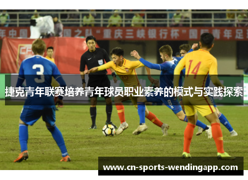 捷克青年联赛培养青年球员职业素养的模式与实践探索