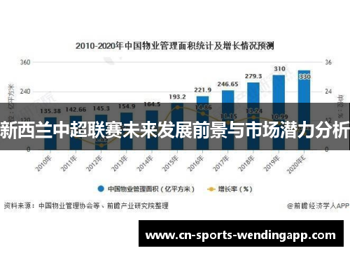 新西兰中超联赛未来发展前景与市场潜力分析 新西兰中超联赛未来发展前景与市场潜力分析