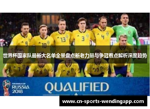 世界杯国家队最新大名单全景盘点新老力量与争冠看点解析深度趋势