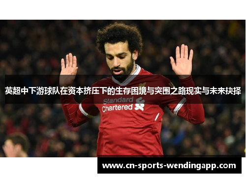 英超中下游球队在资本挤压下的生存困境与突围之路现实与未来抉择