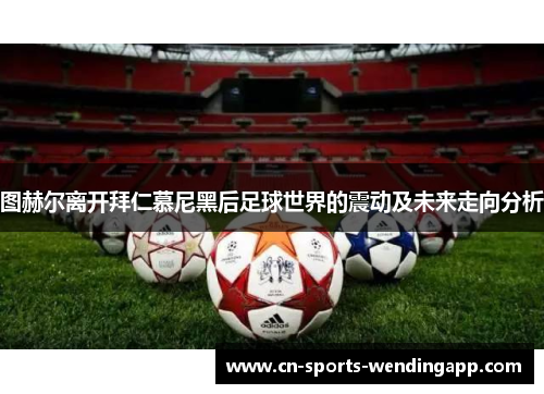 图赫尔离开拜仁慕尼黑后足球世界的震动及未来走向分析