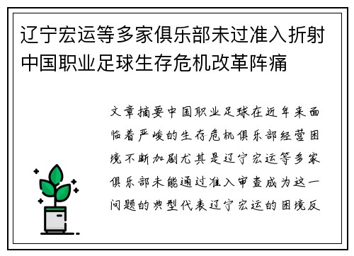 辽宁宏运等多家俱乐部未过准入折射中国职业足球生存危机改革阵痛