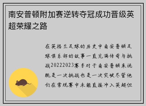 南安普顿附加赛逆转夺冠成功晋级英超荣耀之路